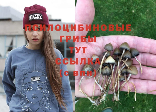 амф Горняк