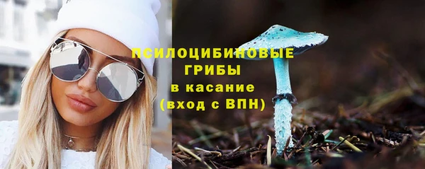 амф Горняк