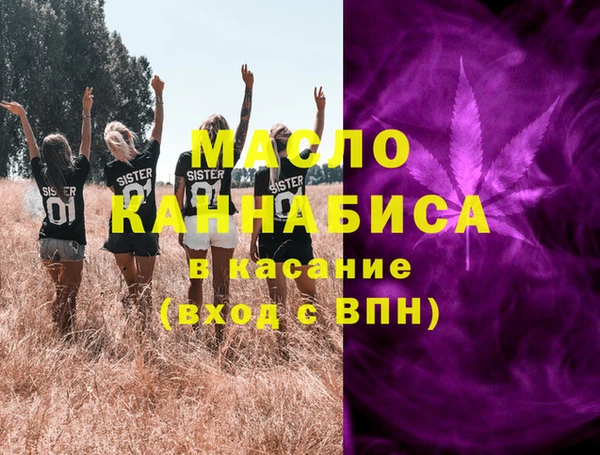 амф Горняк