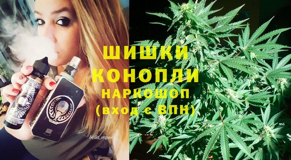 амф Горняк