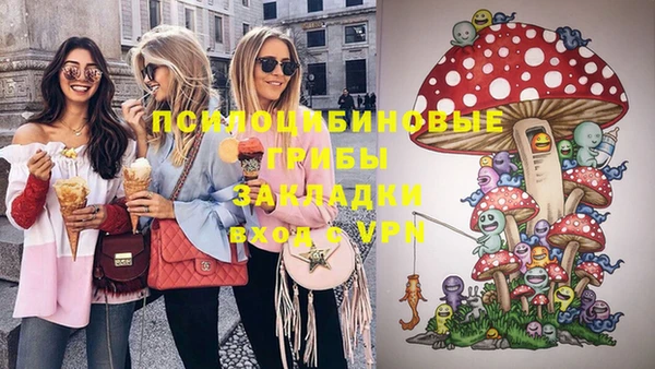 альфа пвп Горнозаводск