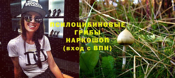 альфа пвп Горнозаводск